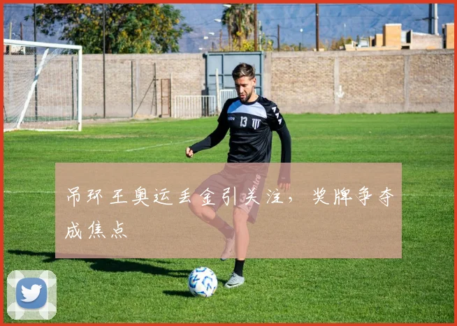 吊环王奥运丢金引关注，奖牌争夺成焦点